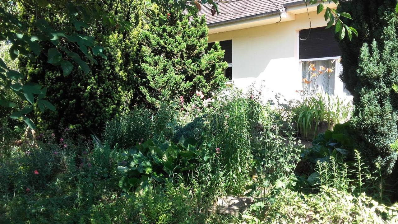 Chambres Du Jardin Fleuri Saint-Aubin-lès-Elbeuf 外观 照片